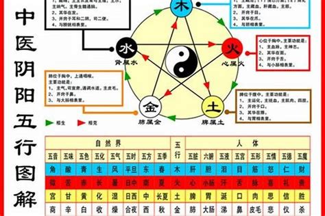 怎样算五行